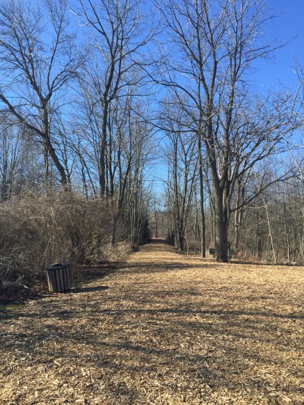 Natural Pathways at Paletta Lakefront Park